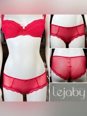 Lejaby Red Lace & Mesh Semi-Sheer Panty Brief Underwear, Szs XS & XL